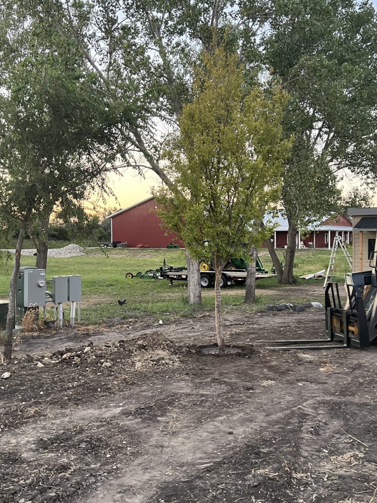 Tree Planting Service Wichita