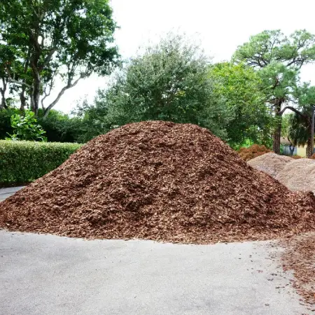 Tree Removal Service in Wichita