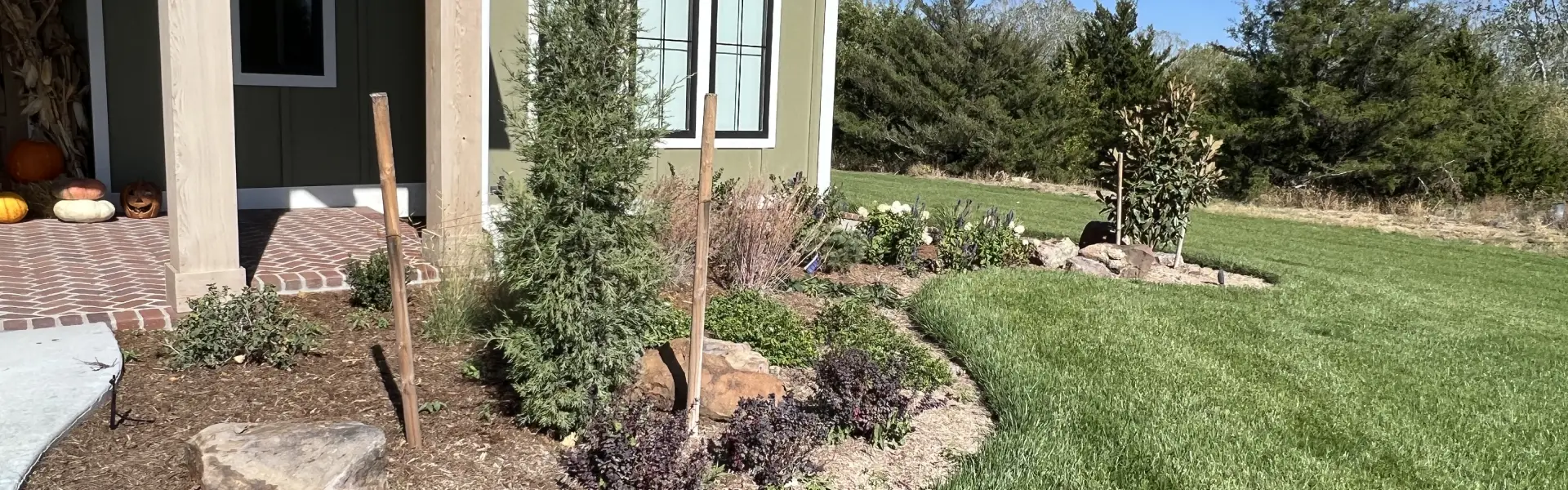 Wichita Tree and Shrub Services