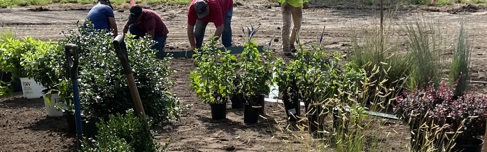 Wichita Tree and Landscaping Services