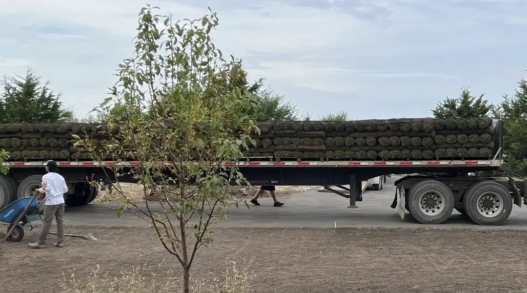 Sod Installation: Transform Your Lawn with Sod